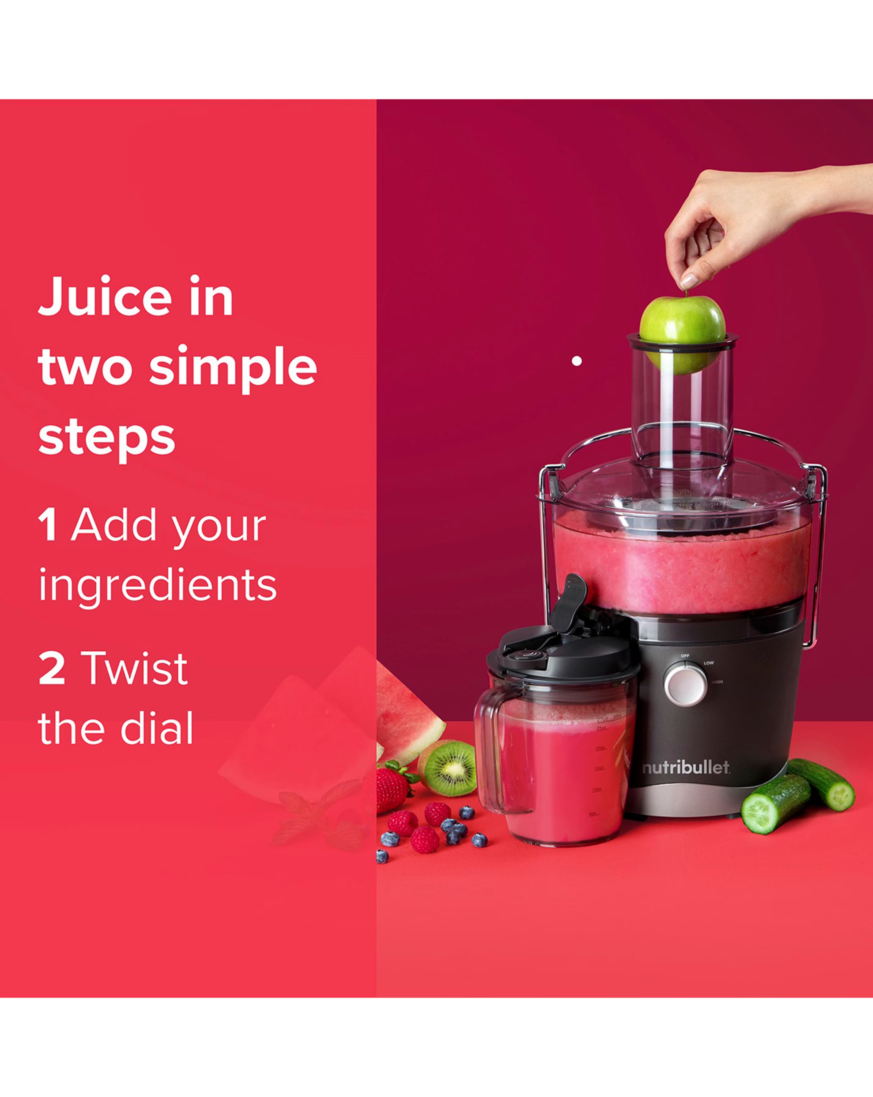 NutriBullet Juicer 2 NutriBullet Juicer