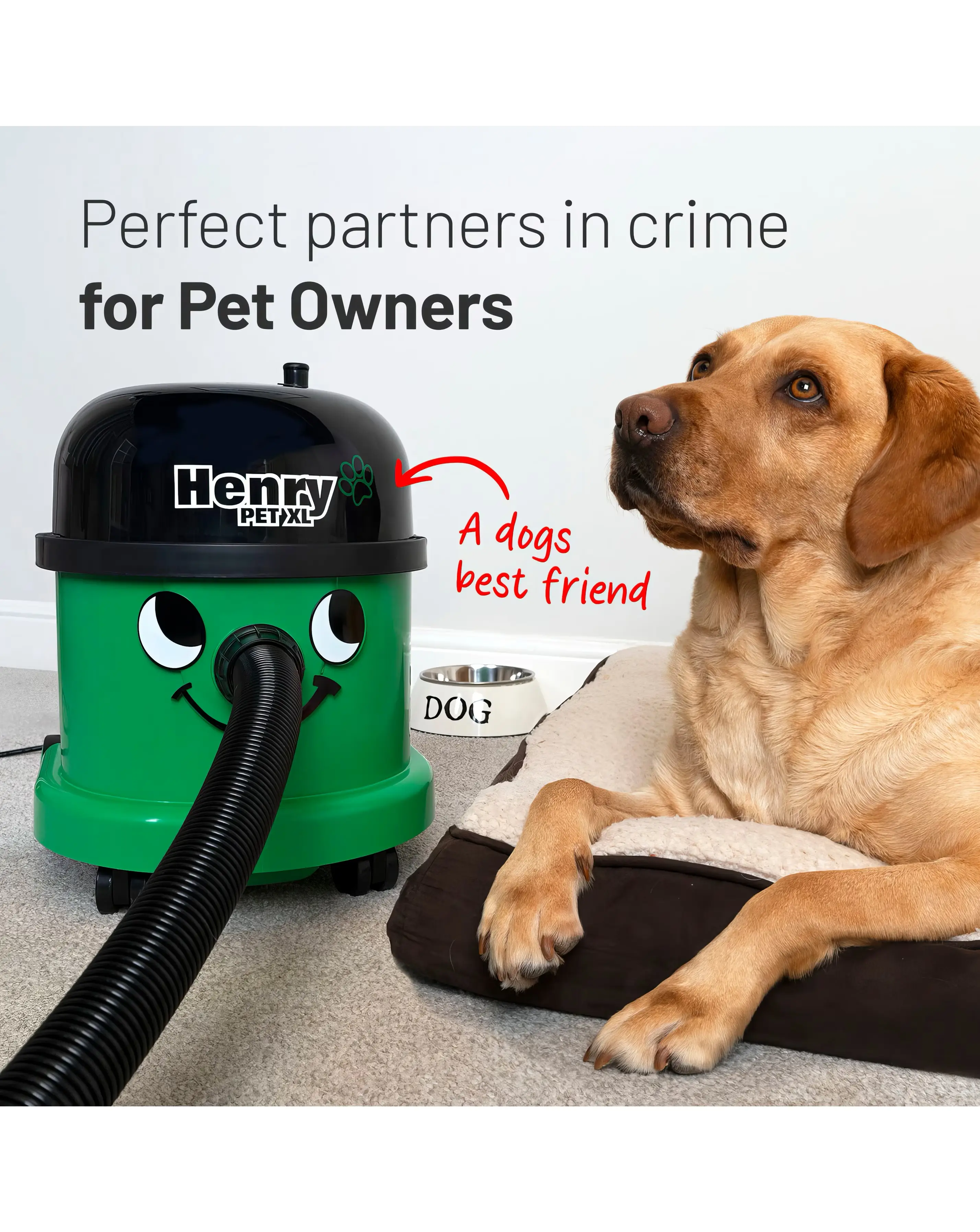 Henry Pet XL 4 Henry Pet XL