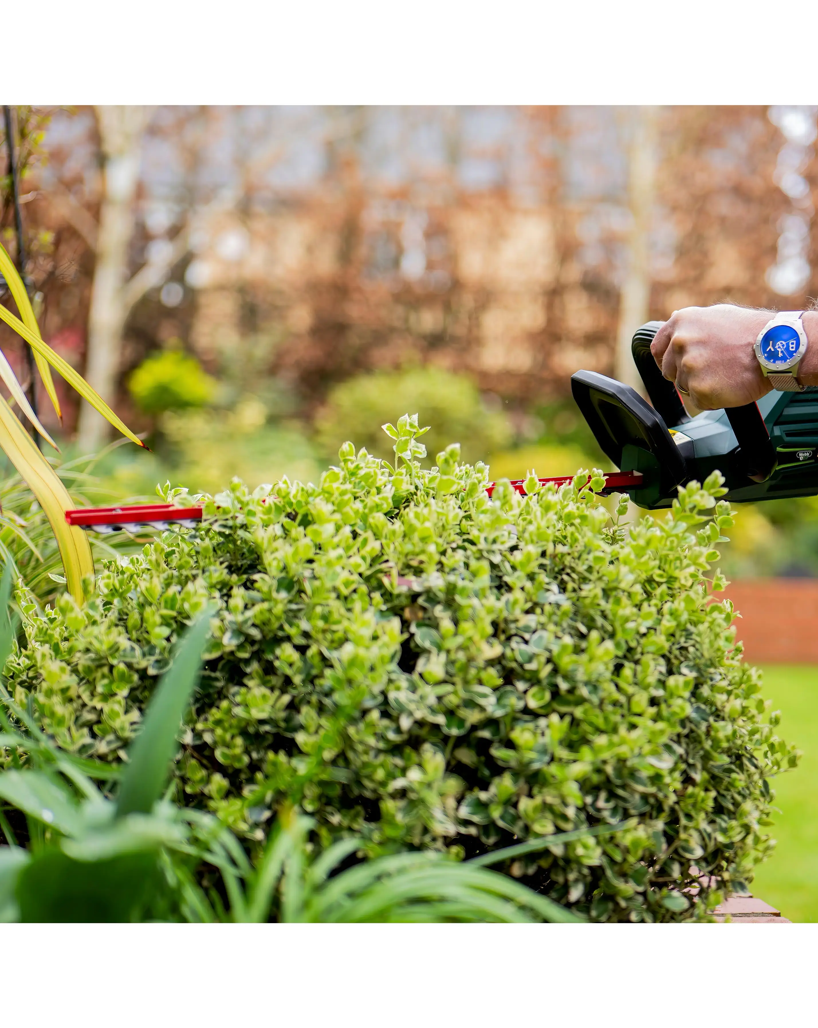 Webb 20V 50cm Cordless Hedge Trimmer (2AH Battery & Charger) 8 Webb 20V 50cm Cordless Hedge Trimmer (2AH Battery & Charger)