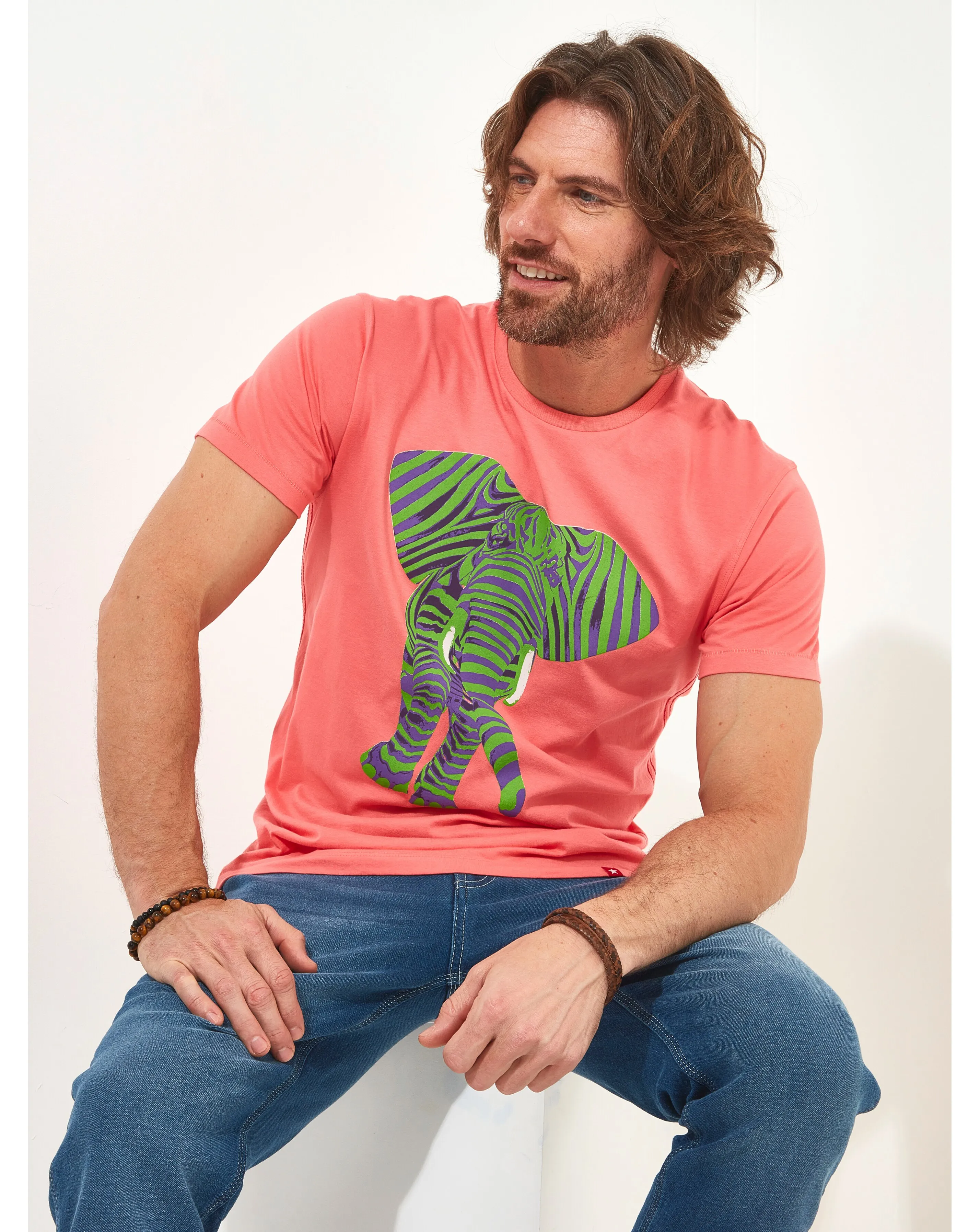Joe Browns Superb Stripe Elephant Tee Long Length 1 Joe Browns Superb Stripe Elephant Tee Long Length