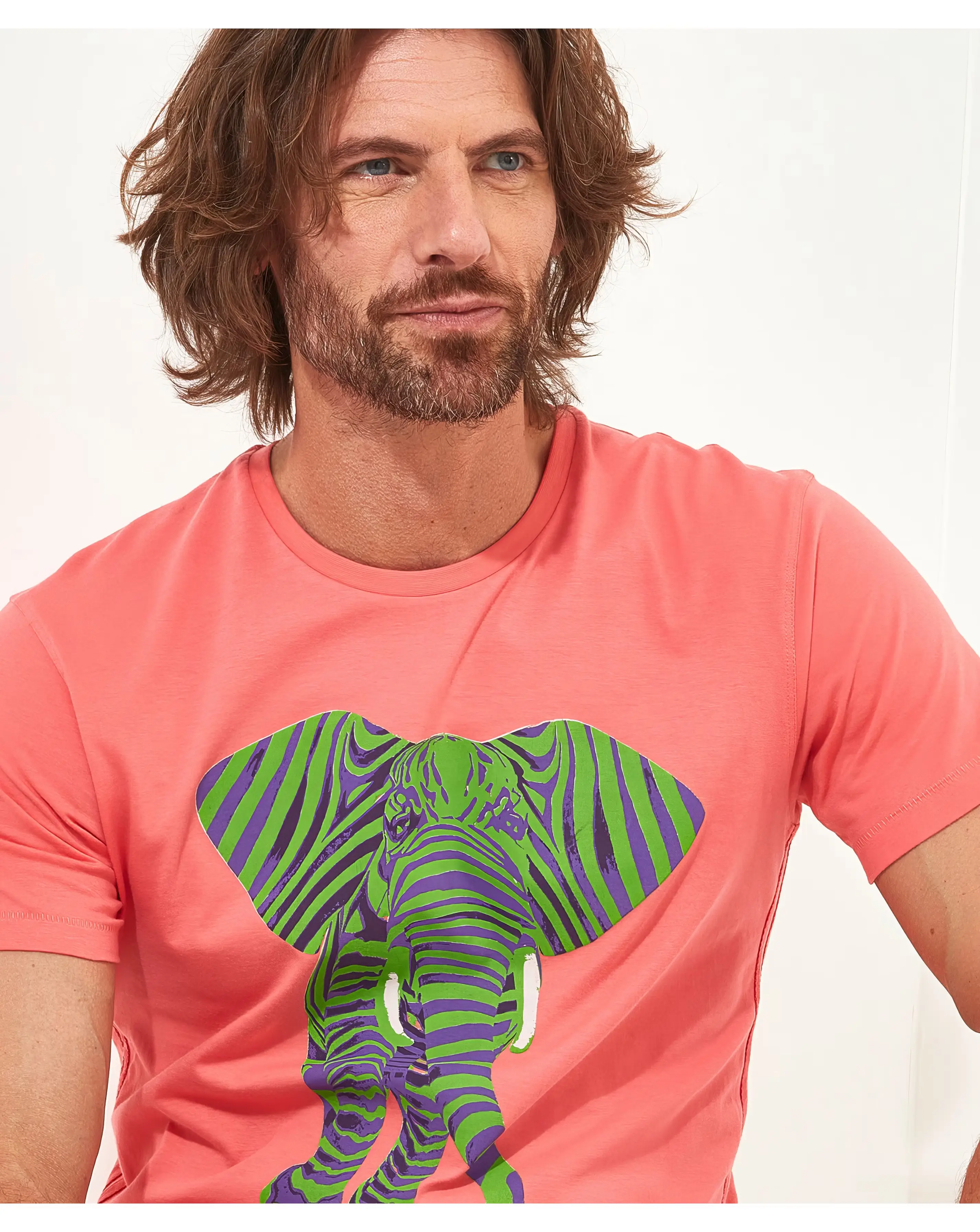 Joe Browns Superb Stripe Elephant Tee Long Length 2 Joe Browns Superb Stripe Elephant Tee Long Length