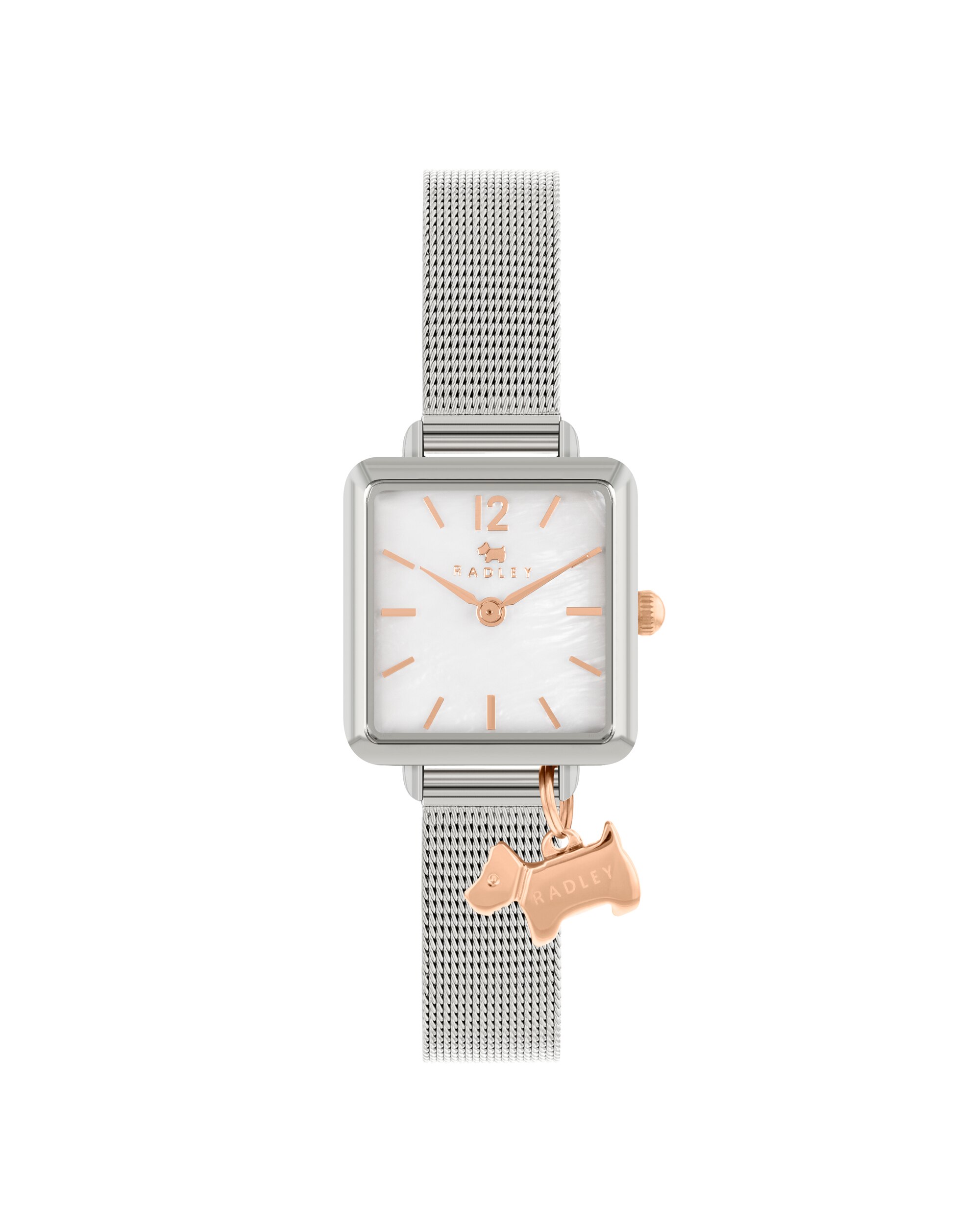 Radley Square Case Mesh Strap 1 Radley Square Case Mesh Strap