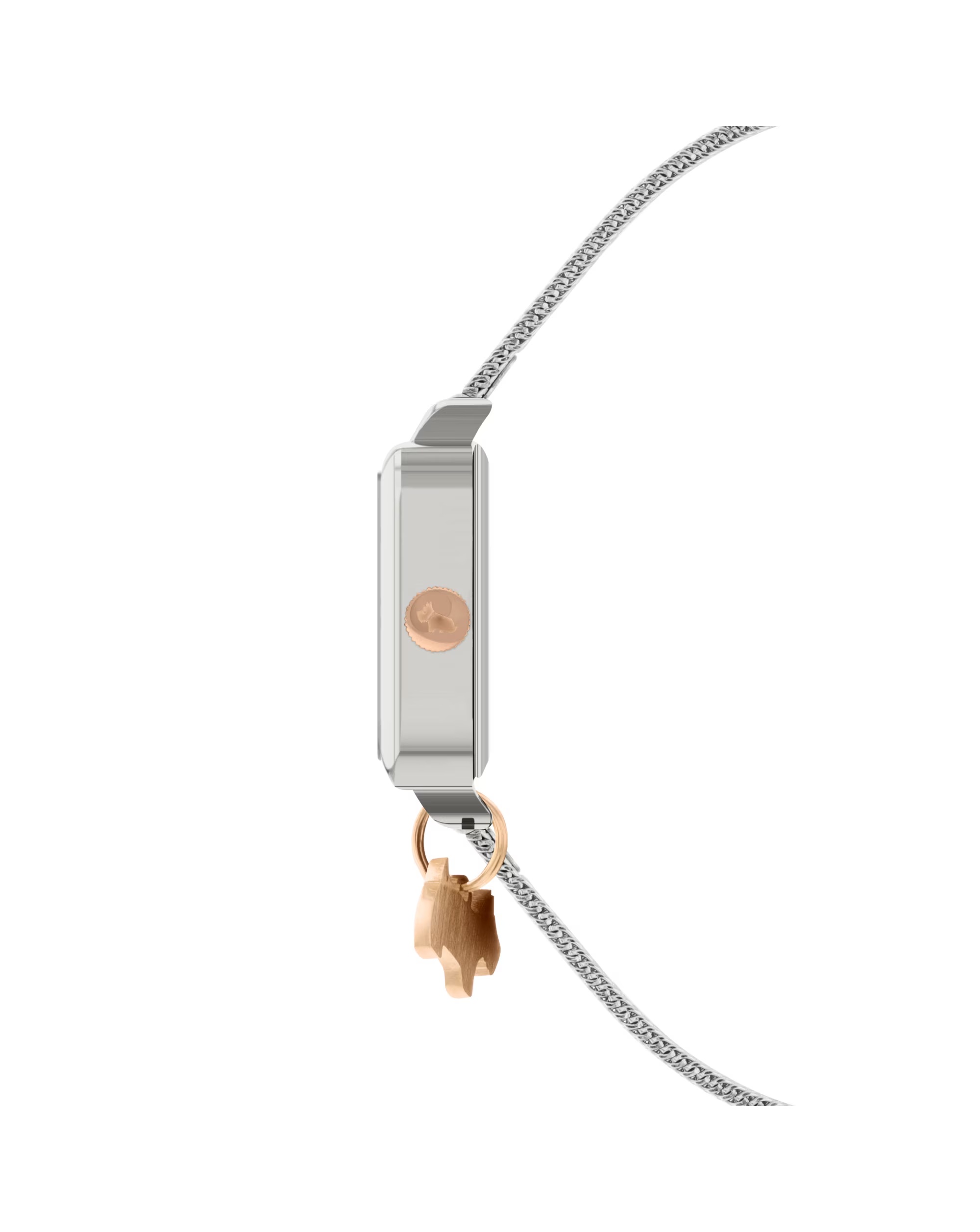 Radley Square Case Mesh Strap 3 Radley Square Case Mesh Strap