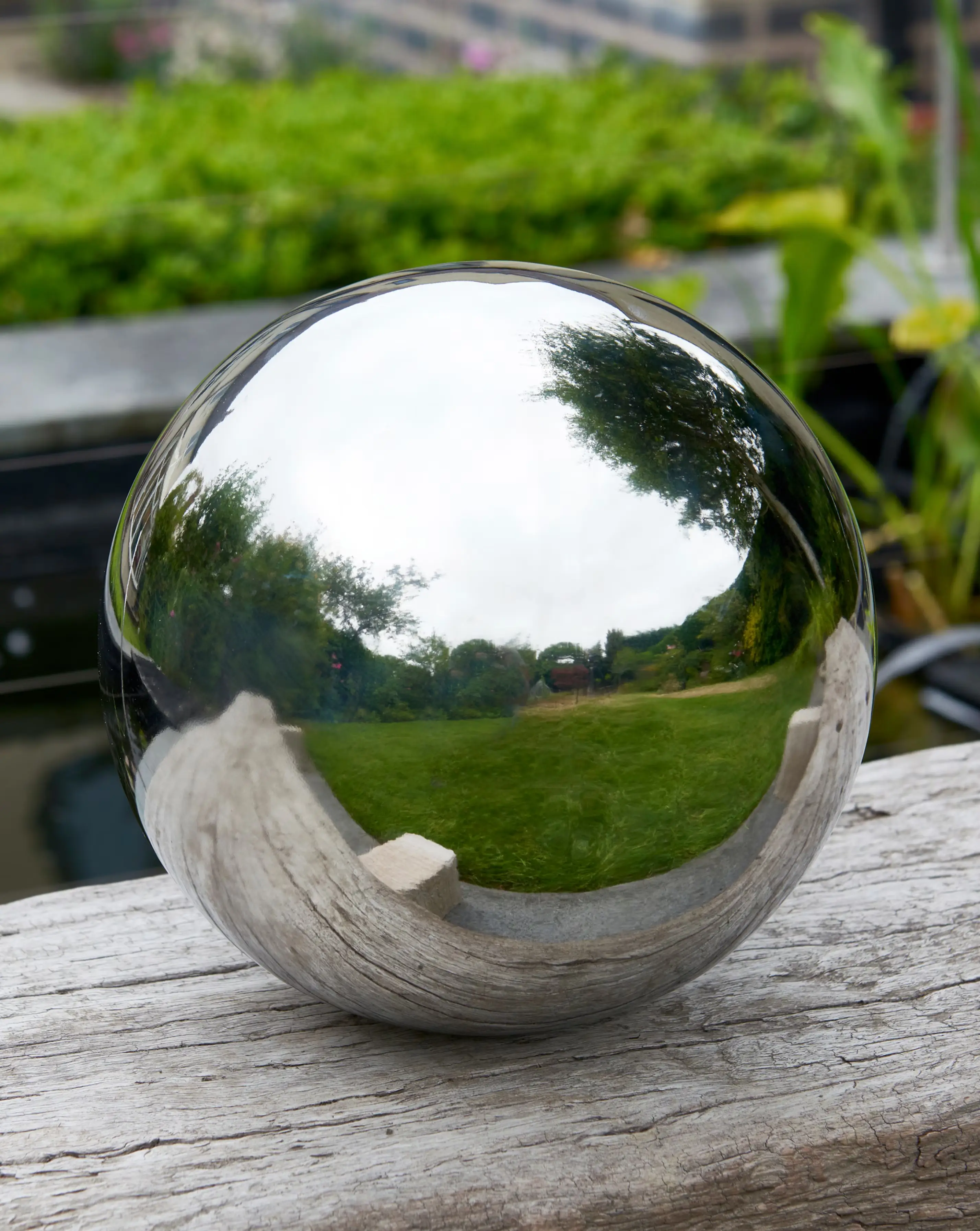GazeBall - 20 cm 2 GazeBall - 20 cm