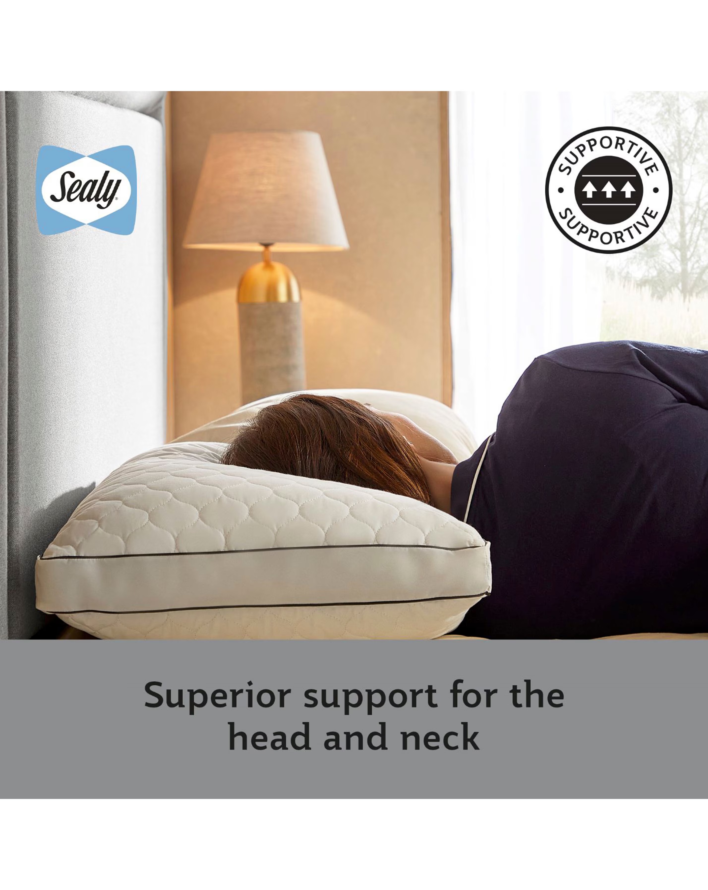 Sealy Side Sleeper Pillow 2 Sealy Side Sleeper Pillow